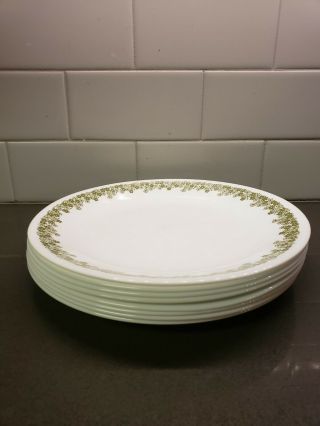 Vintage Corelle Spring Blossom Crazy Daisy Set Of 8 Salad/lunch Plates 8 1/2 "