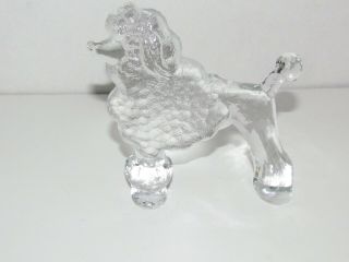 Kosta Boda Sweden Zoo Series Glass Poodle Paperweight Designed By Bertil Vallien
