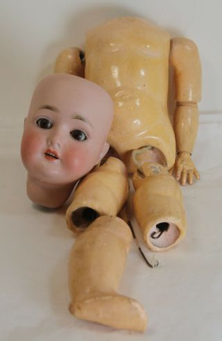 Antique Schoenau & Hoffmeister Sleep Eyes Bisque Head Doll 1923 Mold Germany