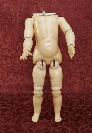 Antique German Fully Jointed 13 1/2 Inch Doll Body For A Bisque Socket Doll Head