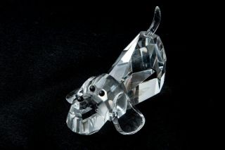 Shannon Crystal Designs Of Ireland Dog Figurine Hand Made Crystal By Godinger
