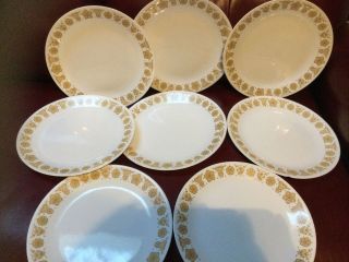 Vintage Corelle Butterfly Gold 10 1/4 " Dinner Plates Set Of 8 Look At Edges