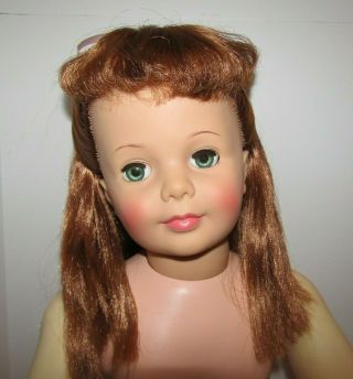 Vintage Doll Ideal Patti Playpal 35” - 36 " Tlc Long Auburn / Walker 1959 – 1960s