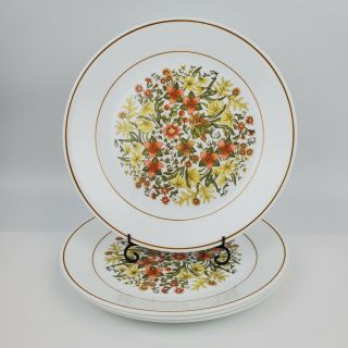 Set Of 4 Vintage Corelle Indian Summer Dinner Plates 10.  25 " Harvest Colors