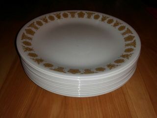 12.  Corelle Butterfly Gold Lunch Plates.  8 1/2 Inch