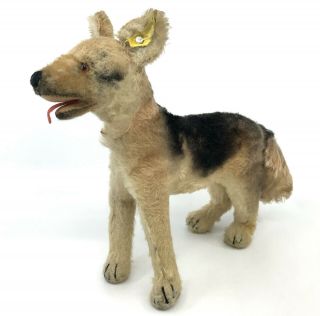 Steiff Arco German Shepherd Dog Mohair Plush 22cm 9in 1950s Id Button Tag Vtg