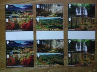 2019 Forests Set Of 6 In Gutter Pairs Unmounted,  Mnh