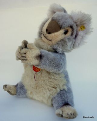Steiff Molly Koala Bear Woven Fur Plush 40cm 16in Id Button Tags 1970s Austria