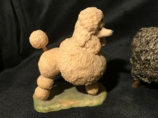 Border Fine Arts Poodle and Cow 2