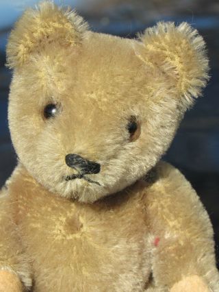 Antique Vintage Mohair Teddy Bear 6 " Miniature Cute Looks German ? Steiff Schuco