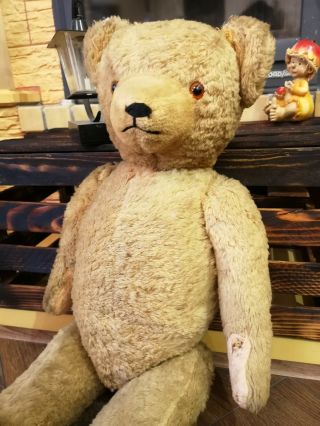 Rare Antique Large vintage teddy bear from the USSR,  50s 60 cm inside is straw 2