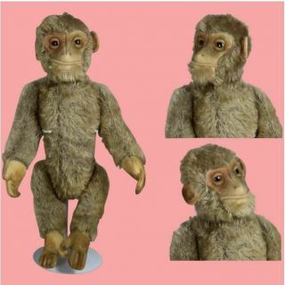 1930s Mohair 10 " Schuco Yes - No Monkey " Tricky " Darling