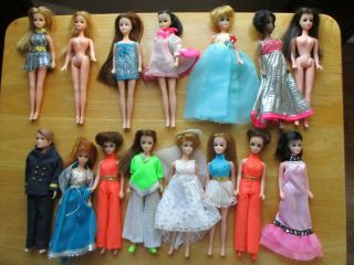 Vintage Dawn Dolls,  Case,  And Clothes