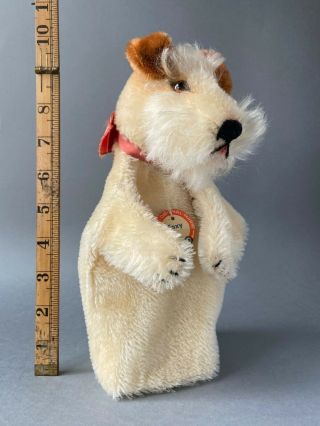 Rare STEIFF Foxy Fox Terrier Dog Hand Puppet 1951 - 67 German Schnauzer Mohair 2