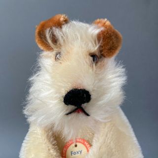 Rare STEIFF Foxy Fox Terrier Dog Hand Puppet 1951 - 67 German Schnauzer Mohair 3