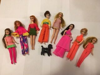 Dawn Dolls And Accessories.