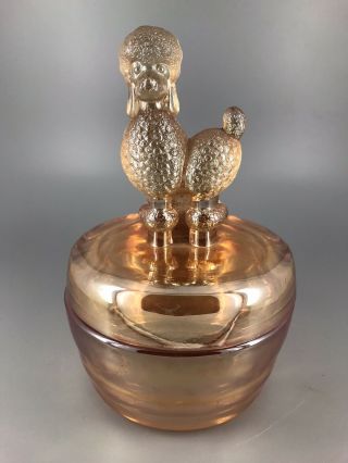 Vintage Marigold Carnival Glass French Poodle Powder/trinket Jar.  14f