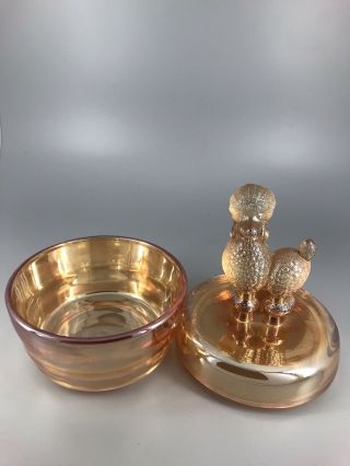 Vintage Marigold Carnival Glass French Poodle Powder/Trinket Jar.  14F 3