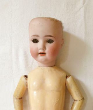 Large Late 19th Early 20th C German Adolf Heller Bisque Headed Doll Wooden Limbs