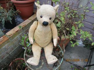 An Antique Vintage 5 Way Jointed Golden Mohair Teddy Bear - C1930 - Straw Filled.