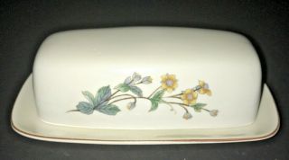 Vtg Hand - Painted Covered Butter Dish By Citation " Woodhill " Gc