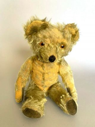 14 " Antique Vintage Old Jointed Golden Mohair Teddy Bear Velvet Paws Personality