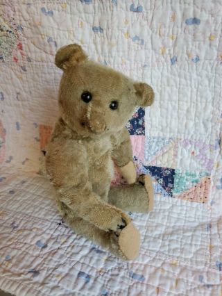 Sweet Antique Teddy Bear Very Loved
