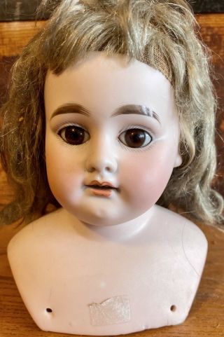 Antique German Bisque Armand Marseille 1894 6” Tall Doll Head W/best Mohair Wig