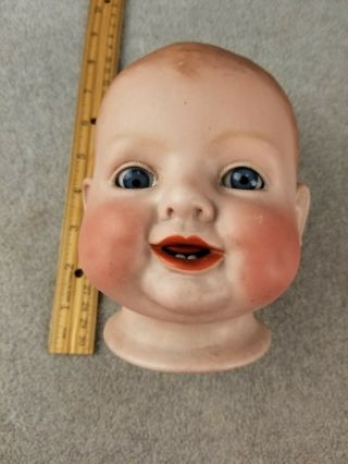 Lg Bonnie Babe Antique German Character Baby Doll Head For Doll Making (no Body)