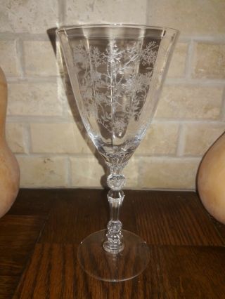 Fostoria Glass Chintz Water Goblet 6026 Greenbriar Blank 8 Oz Made 1940 - 1973