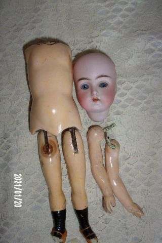 11 " Antique Walker Doll: Kammer & Reinhardt / Simon & Halbig Tlc