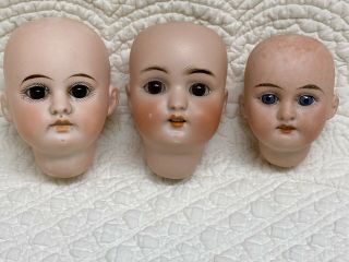 Three Small Antique German Bisque Doll Heads Am 1894 Simon Halbig S&h 1078