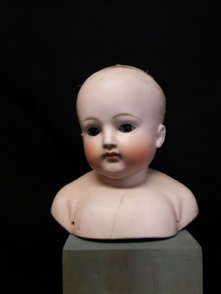 Antique German Bisque Doll Socket Head Closed Mouth ?