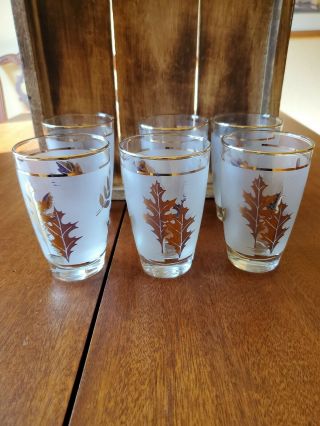 Vintage Mcm Set Of 6 Libbey Frosted Gold Leaf Tea Water Juice Glasses