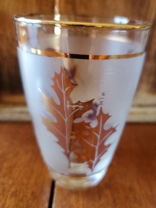 Vintage MCM Set Of 6 Libbey Frosted Gold Leaf Tea Water Juice Glasses 3