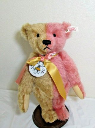 Year 2000 Steiff Teddy Bear Mohair Jointed Collectable W/ Glass Eyes Unique Rare