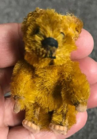 Rare Antique Tiny Miniature 2.  5 " Gold Mohair Schuco Piccolo Bear So Cute Nr