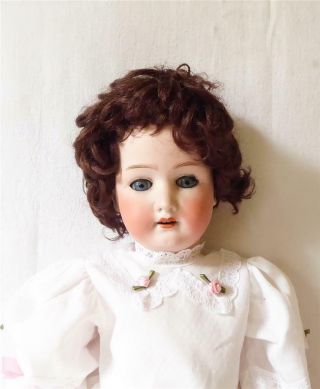 Large Antique Early 20th C German Heubach Koppelsdorf Bisque Headed Doll