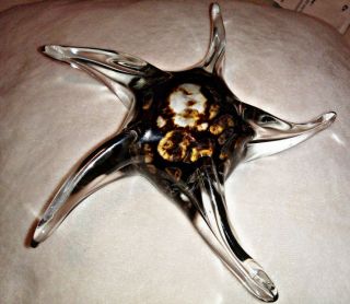 Vtg Murano Hand Blown Glass Starfish 7 " Brown