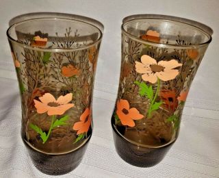 2 Vintage Libbey Smoked Brown Glasses Orange & Apricot Flowers