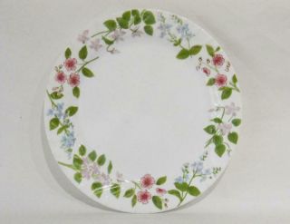 Corelle Impressions Delicate Array 10 1/4 " Dinner Plate Floral Swirled Rim Guc