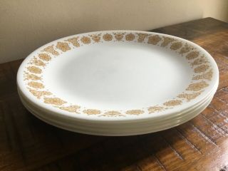 Vintage Corelle Butterfly Gold 6 Dinner Plates 10.  25 Inch
