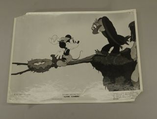 1936 Walt Disney Mickey Mouse Alpine Climbers 10 " X8 " Movie Glossy Photo