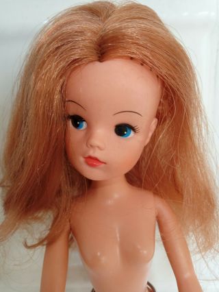 Vintage Pedigree Sindy Doll 033055x Auburn/red Hair Basic Body Twist/turn Waist