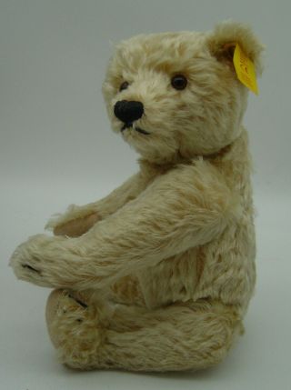 Lovely Vintage Steiff Mohair Teddy Bear With Button,  Tag