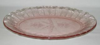Jeannette Glass Floral Poinsettia Pink Oval Platter
