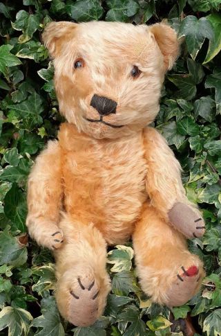 Adorable Vintage 1940s Golden Mohair Jointed " Chiltern Hugmee " Teddy Bear - 15 "