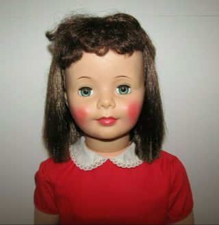 Vintage Doll Patti Playpal Ideal 35” – 36” 1959 – 1960s Brunette Curly Bangs