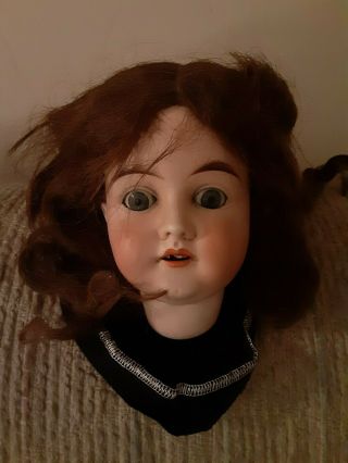 Rare Antique Karl Hartmann Bisque Doll Head Trending @ 199.  00