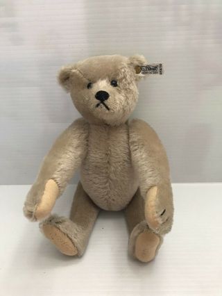 Steiff Gray Jointed 12 " Bear Long Arms Knope Im Ohr 0150/32 Vintage Brass Button